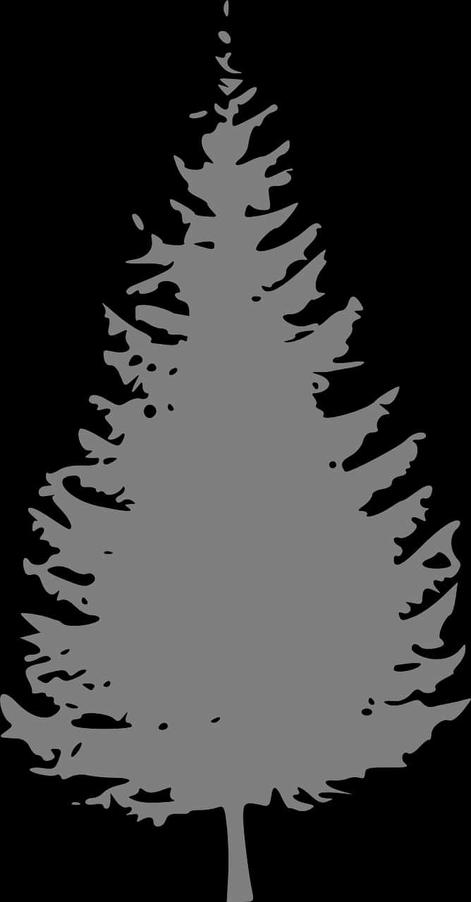 Silhouetteof Pine Tree PNG Image