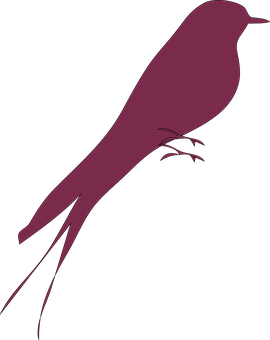 Silhouetteof Purple Bird PNG Image