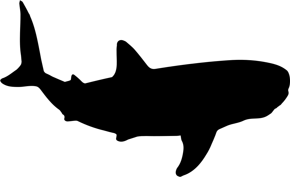 Silhouetteof Shark PNG Image