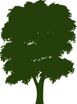 Silhouetteofa Treeon Black Background PNG Image