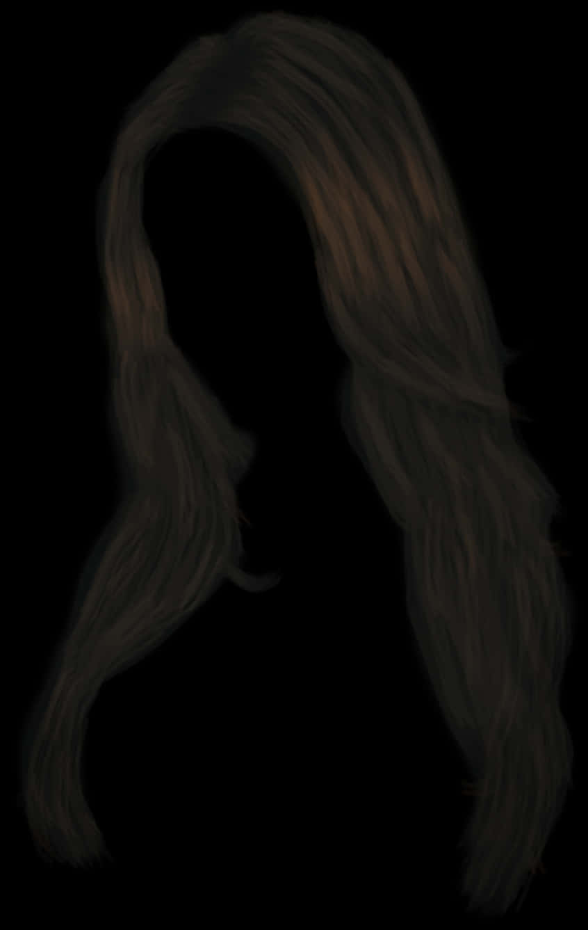 Silhouettewith Long Hair PNG Image