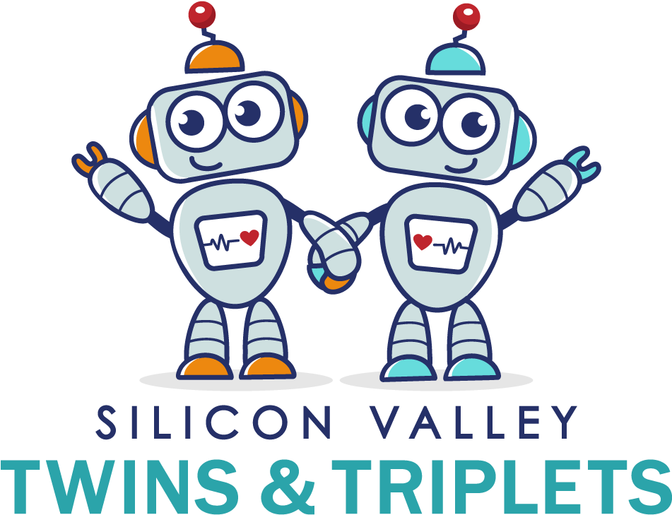 Silicon Valley_ Twins_ Robots_ Vector PNG Image