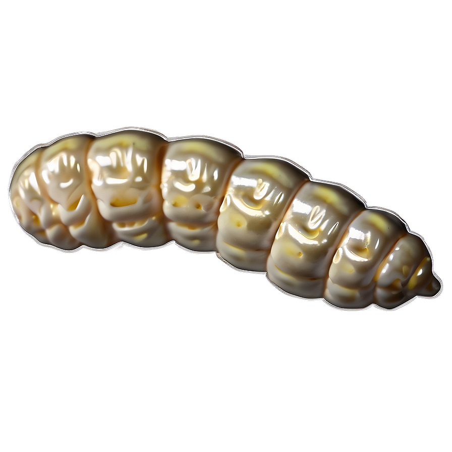 Silkworm Image Png 05242024 PNG Image