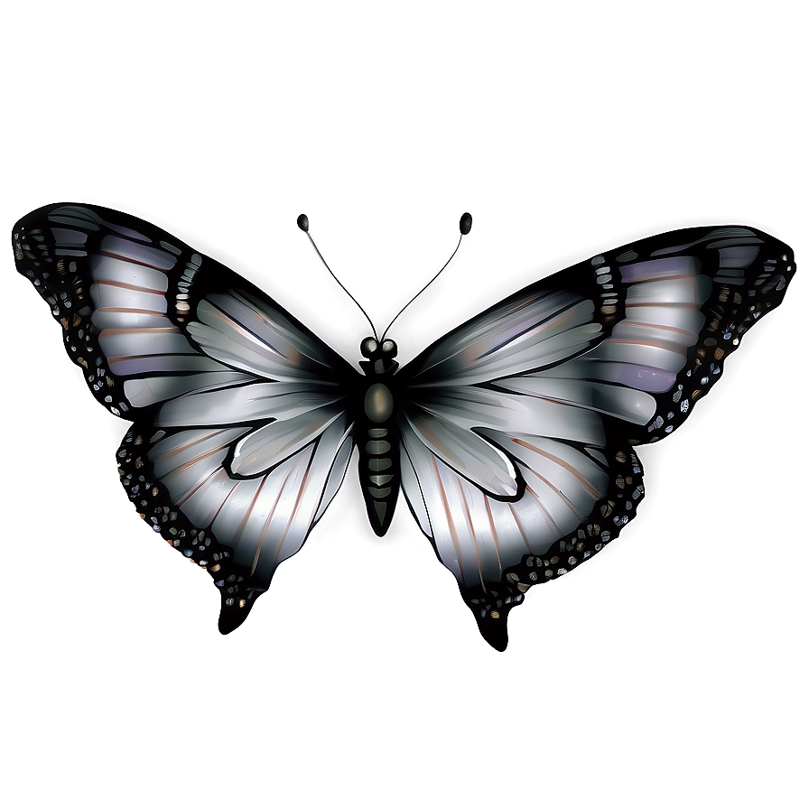 Silver Butterflies Png Sit42 PNG Image