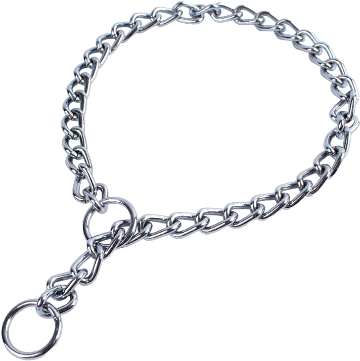 Silver Chain Link Necklace PNG Image