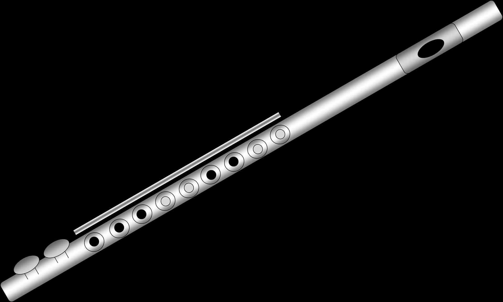 Silver Fluteon Black Background PNG Image