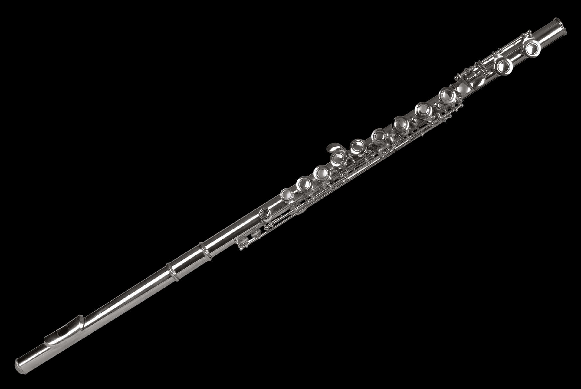 Silver Fluteon Black Background PNG Image