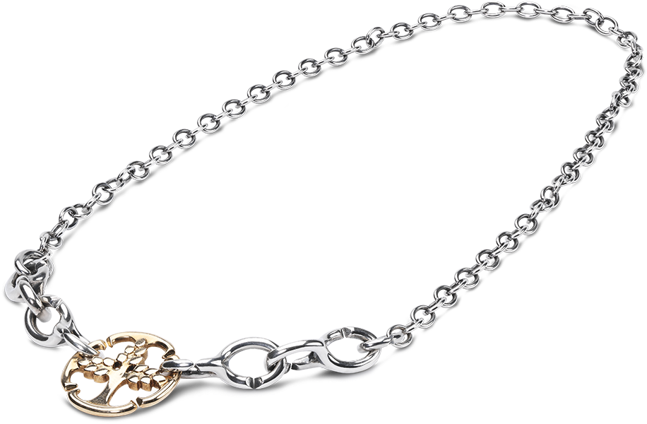 Silver Gold Accent Chain Necklace PNG Image