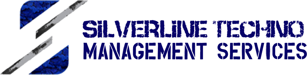 Silverline Techno Management Services Logo PNG Image