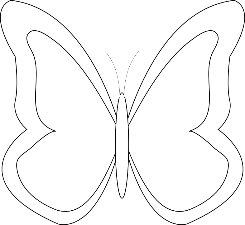 Simple Butterfly Outline Graphic PNG Image