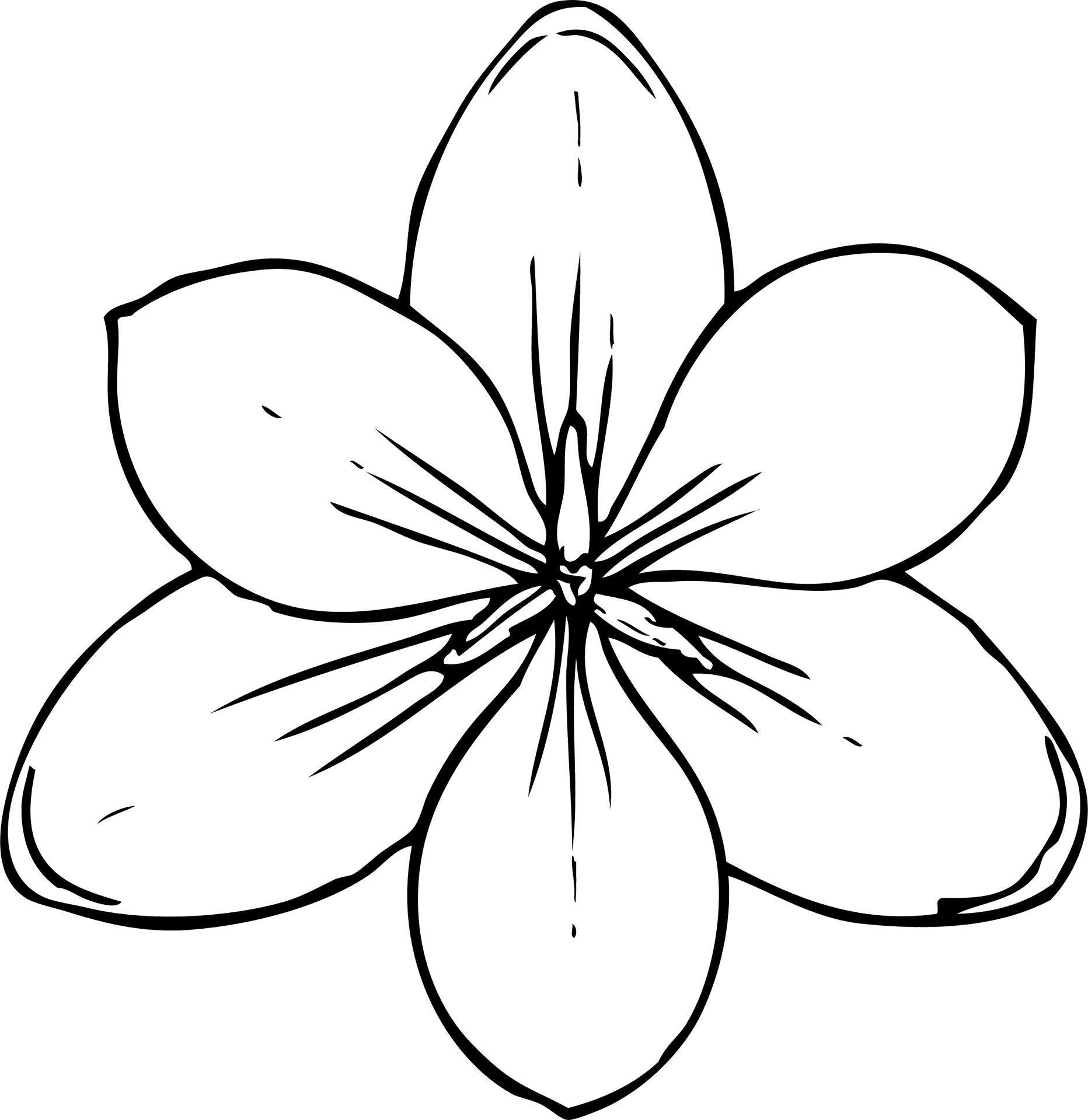 Simple Flower Line Drawing PNG Image