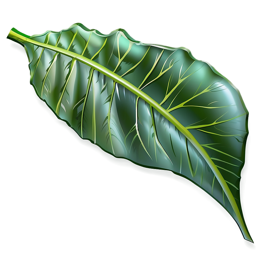 Simple Leaf Png 05032024 PNG Image