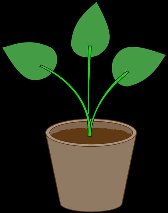 Simple Plantin Pot Illustration PNG Image