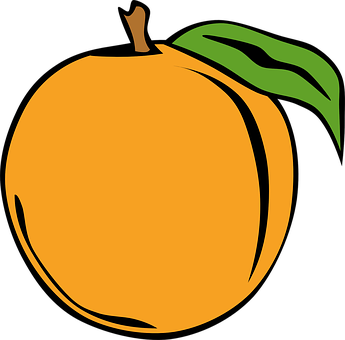 Simplified Orange Illustration PNG Image