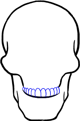 Simplified Skull Line Art PNG Image