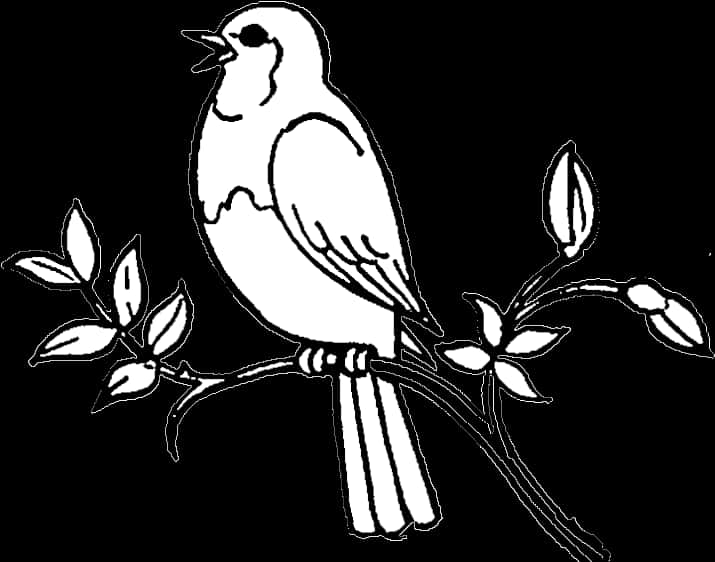 Singing Birdon Branch Silhouette PNG Image