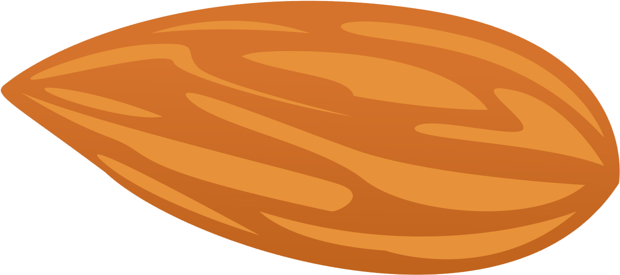 Single Almond Illustration PNG Image