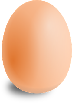 Single Brown Eggon Black Background.jpg PNG Image