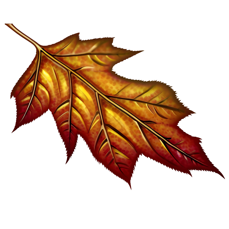 Single Fall Leaf Png Qeg PNG Image