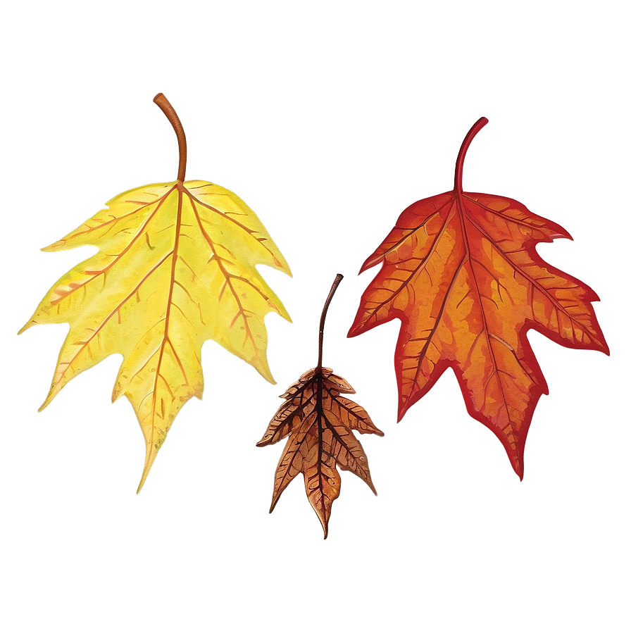 Single Fall Leaf Png Rhv PNG Image