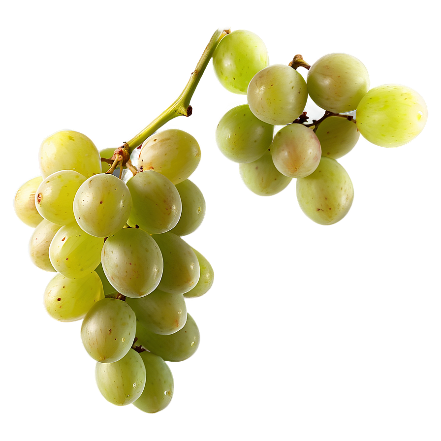 Single Grape In Sunlight Png Bva60 PNG Image