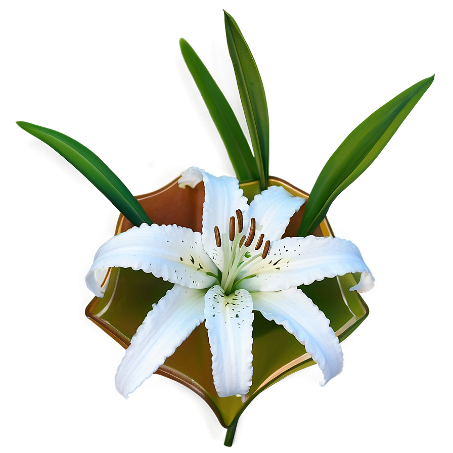 Single Lily Flower Png Itk43 PNG Image