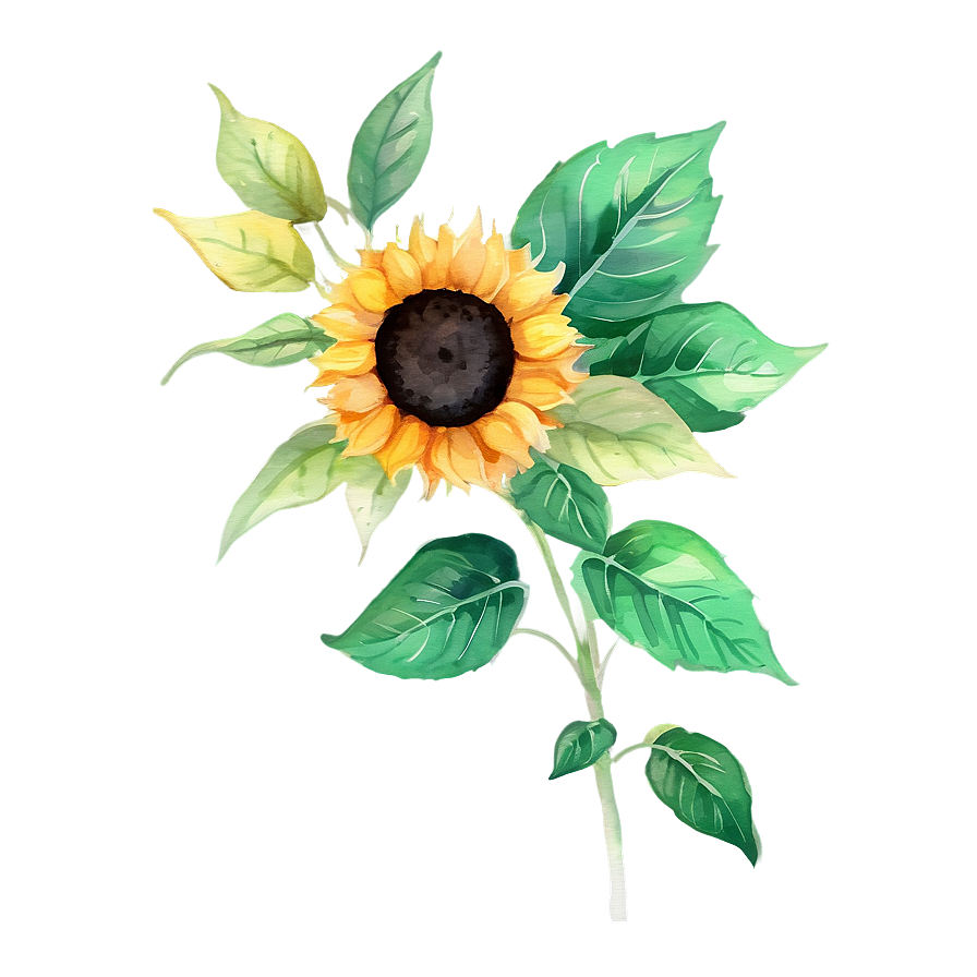 Single Sunflower Watercolor Portrait Png Luo PNG Image