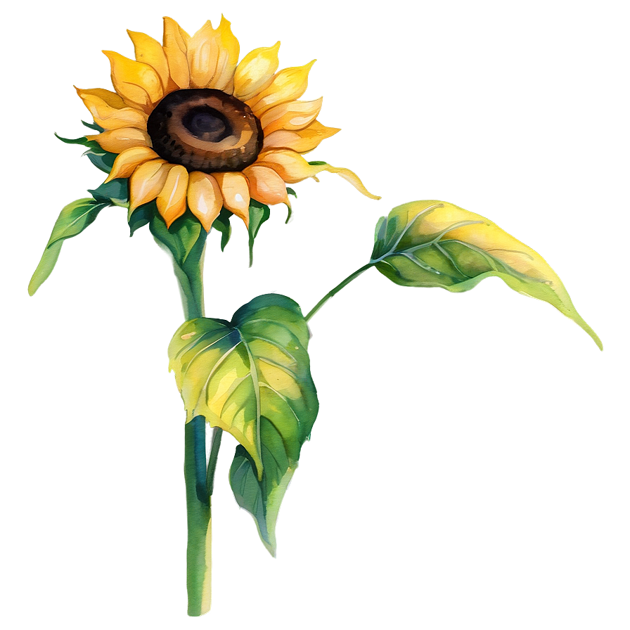 Single Sunflower Watercolor Portrait Png Nhr33 PNG Image