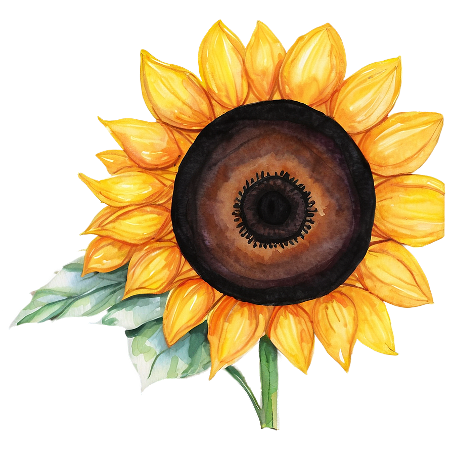 Single Sunflower Watercolor Portrait Png Tmv PNG Image