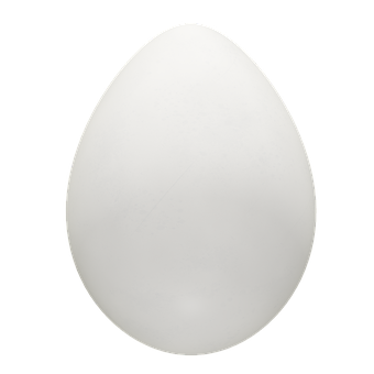 Single White Eggon Black Background PNG Image