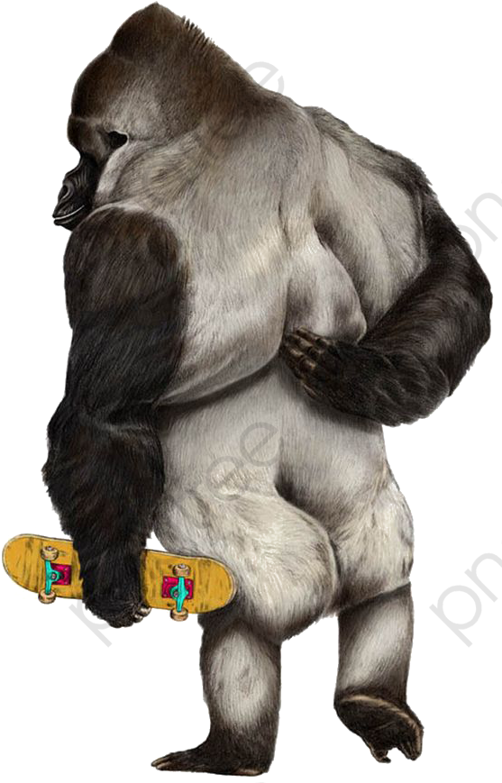 Skateboarding Gorilla Illustration PNG Image