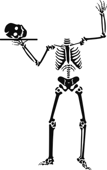 Skeleton Holding Skull PNG Image