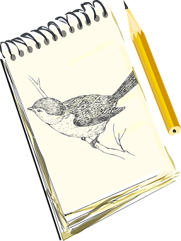 Sketchbook Bird Drawingand Pencil PNG Image