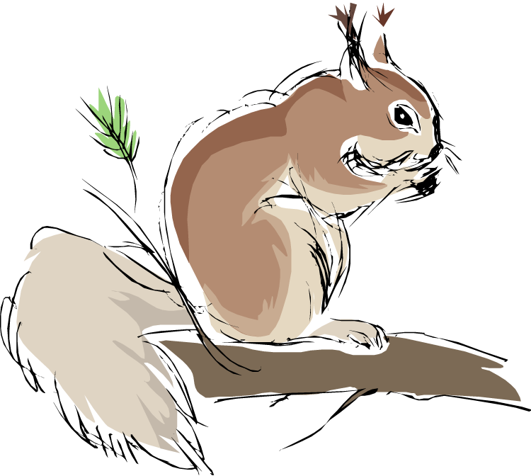 Sketchy Squirrelon Branch PNG Image