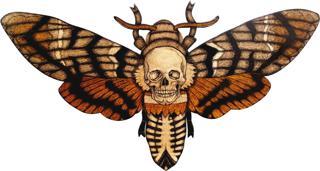 Skull Moth Illustration.png PNG Image