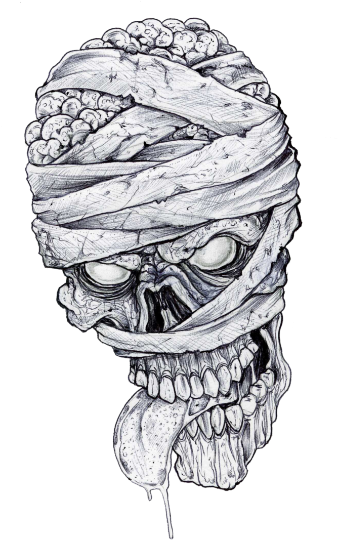 Skull_ Wrapped_in_ Barbed_ Wire_ Drawing PNG Image