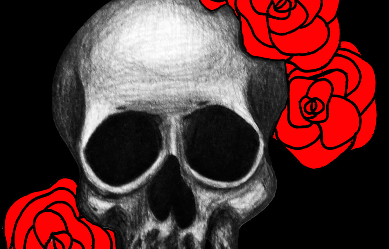 Skulland Red Roses Artwork PNG Image