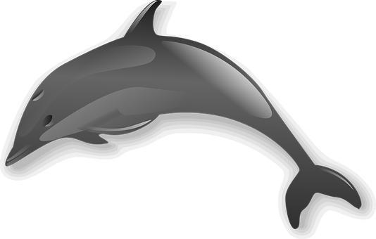 Sleek Gray Dolphin Graphic PNG Image