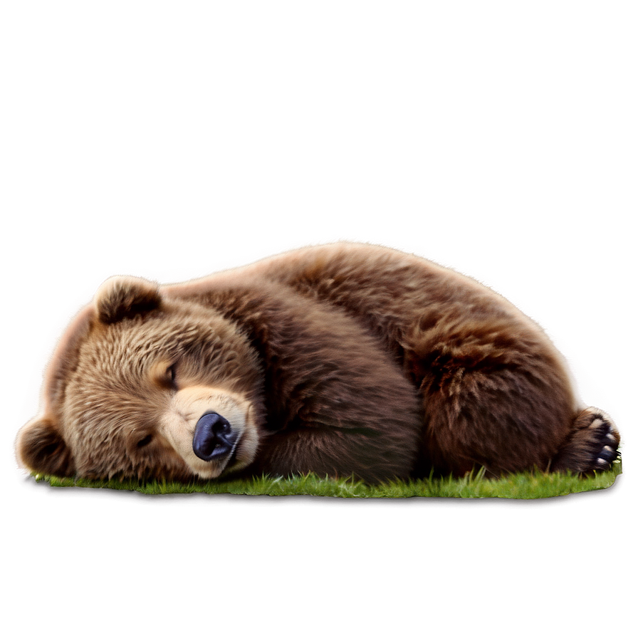 Sleeping Bear Png 05032024 PNG Image