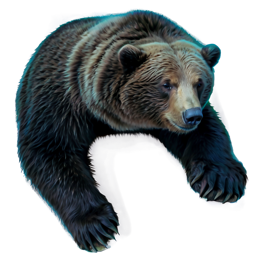 Sleeping Bear Png Hkq PNG Image