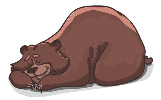 Sleeping Brown Bear Illustration PNG Image