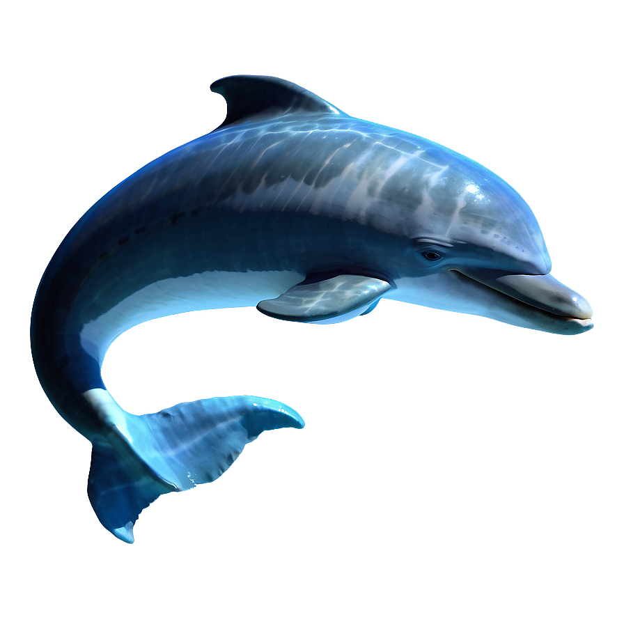 Sleeping Dolphin Png 05232024 PNG Image