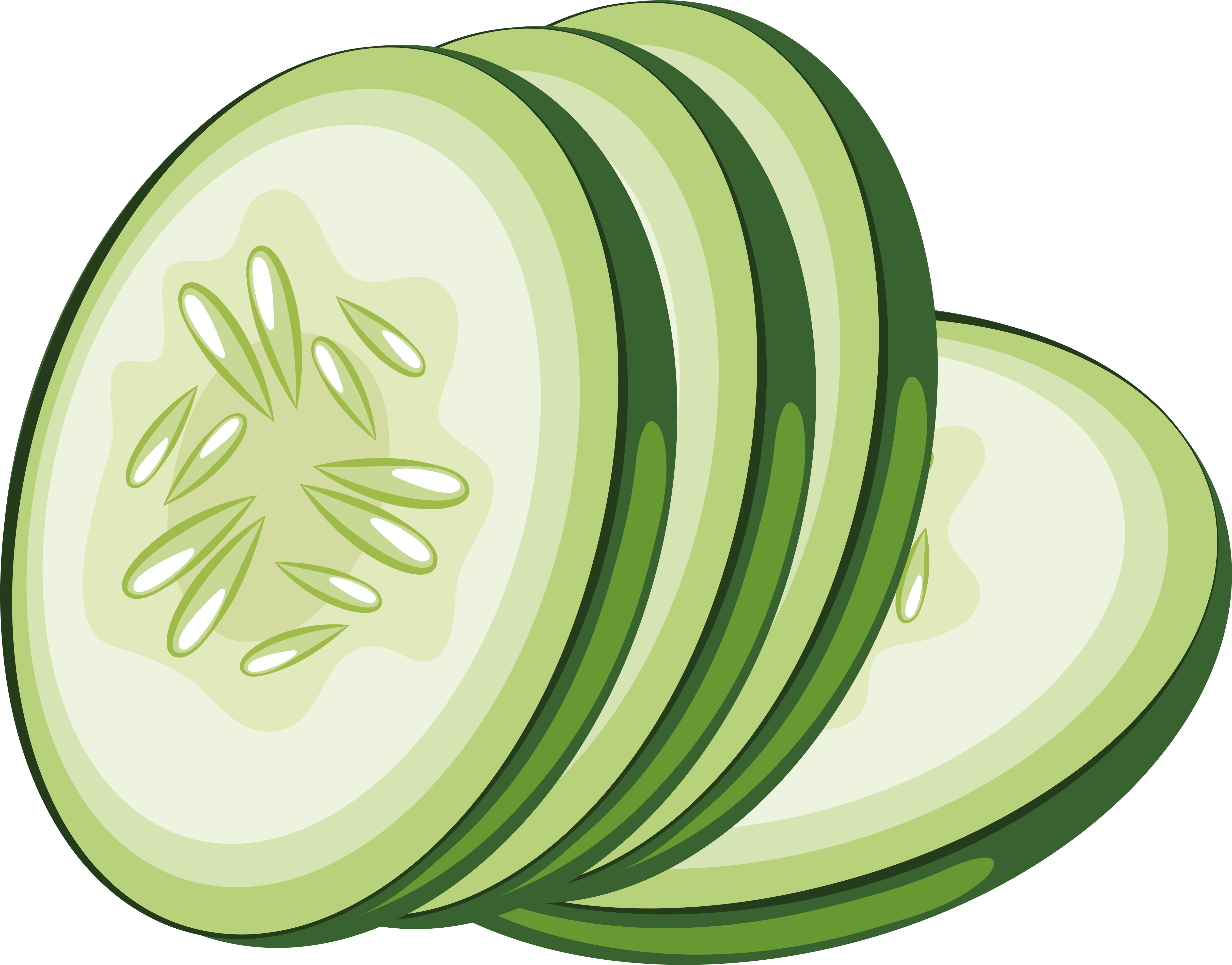 Sliced Cucumber Vector Illustration PNG Image