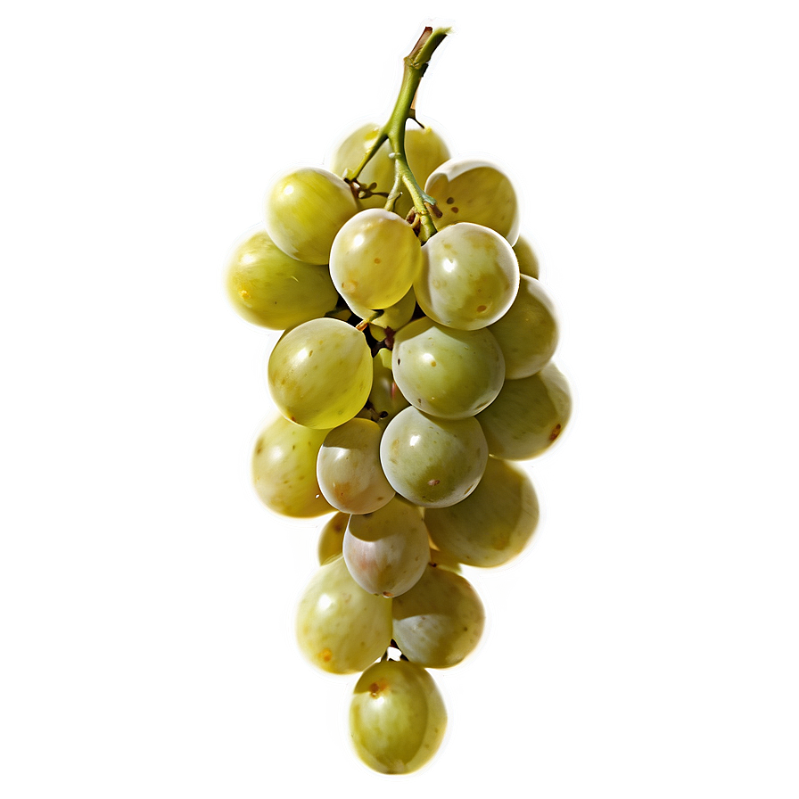 Sliced Grape Png 26 PNG Image