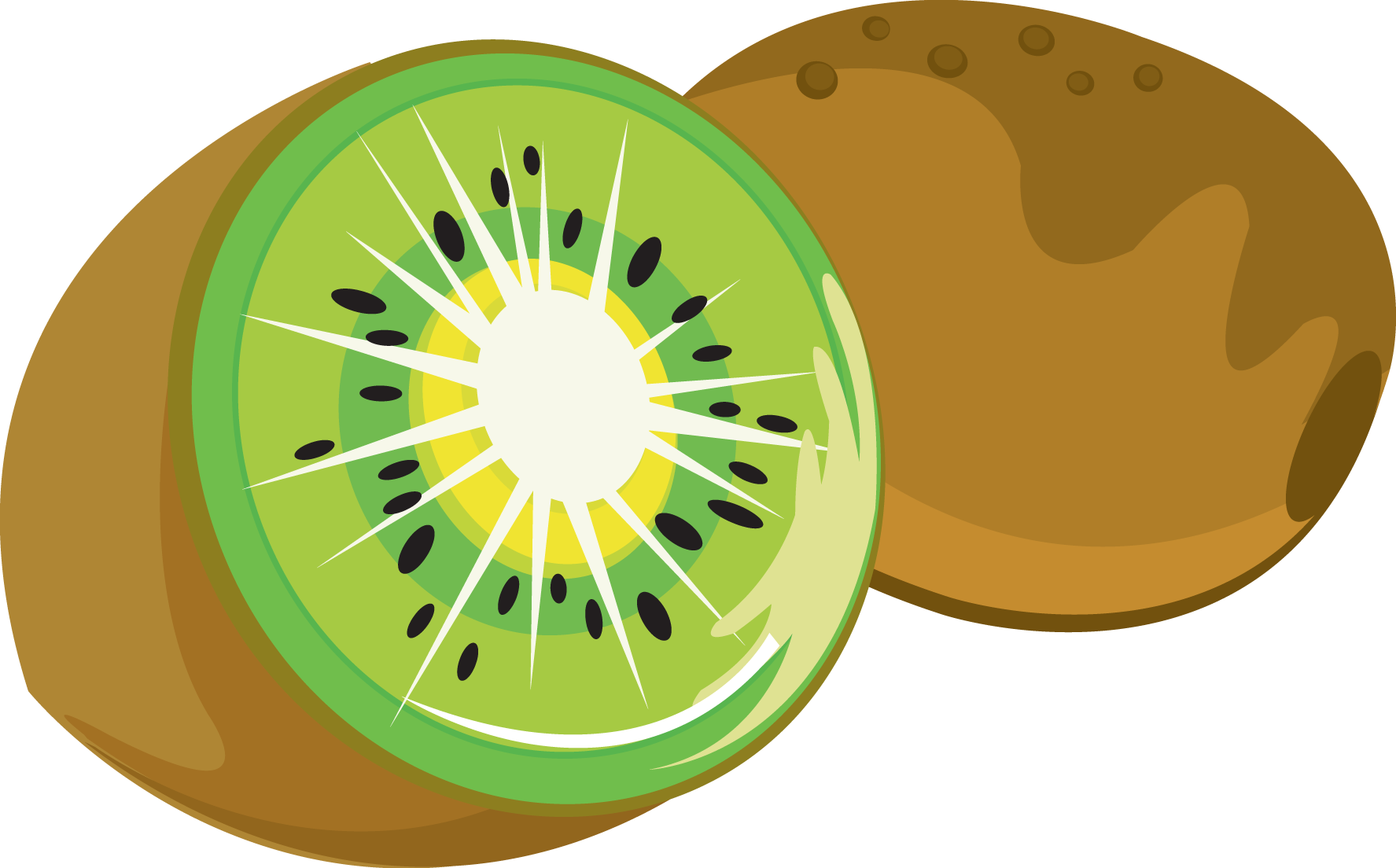 Sliced Kiwi Fruit Illustration PNG Image