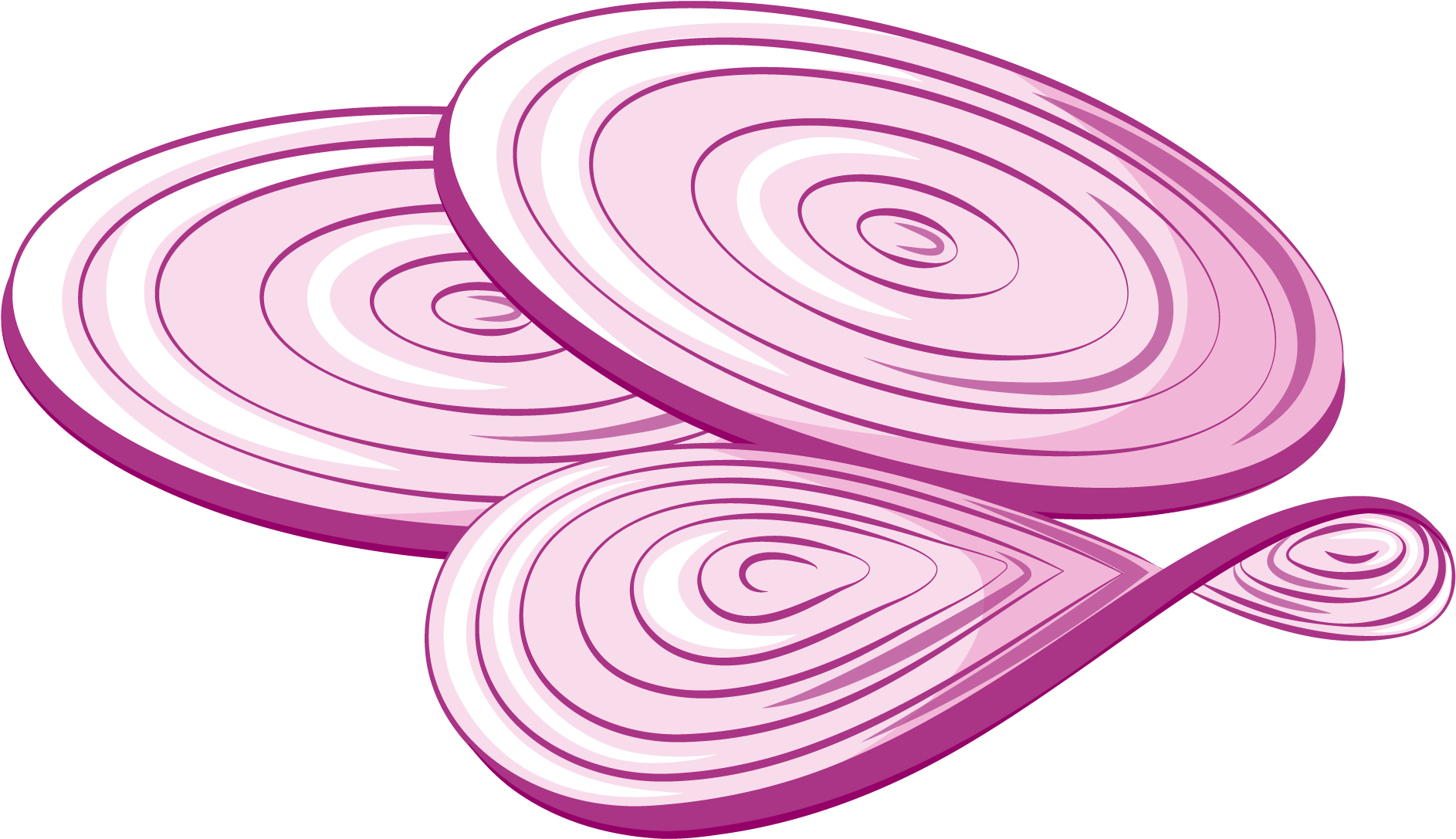 Sliced Onion Illustration PNG Image