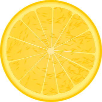 Sliced Orange Illustration PNG Image