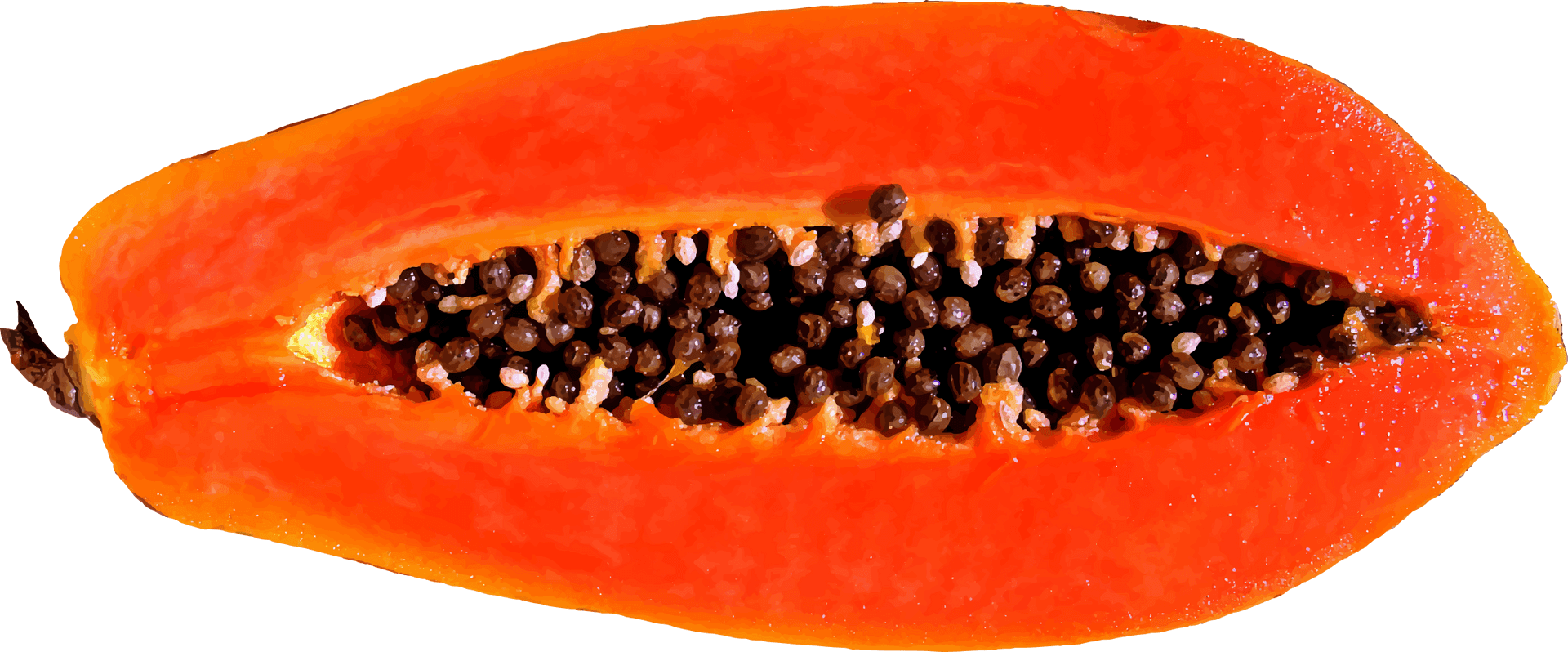 Sliced Papaya Fruit Transparent Background PNG Image