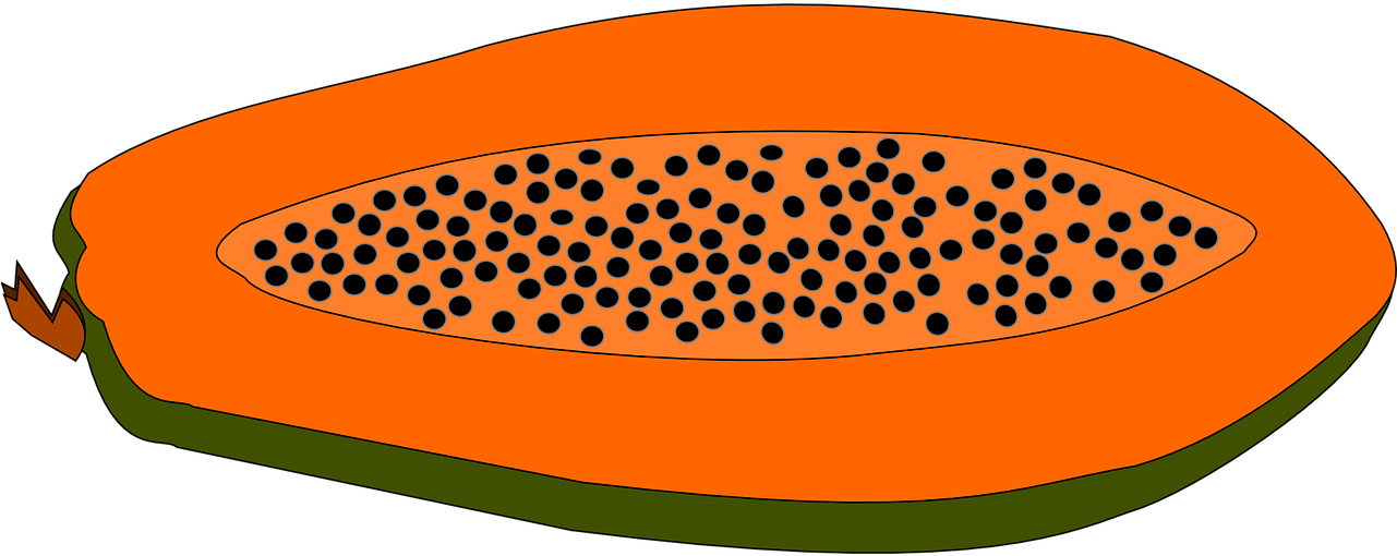 Sliced Papaya Illustration PNG Image