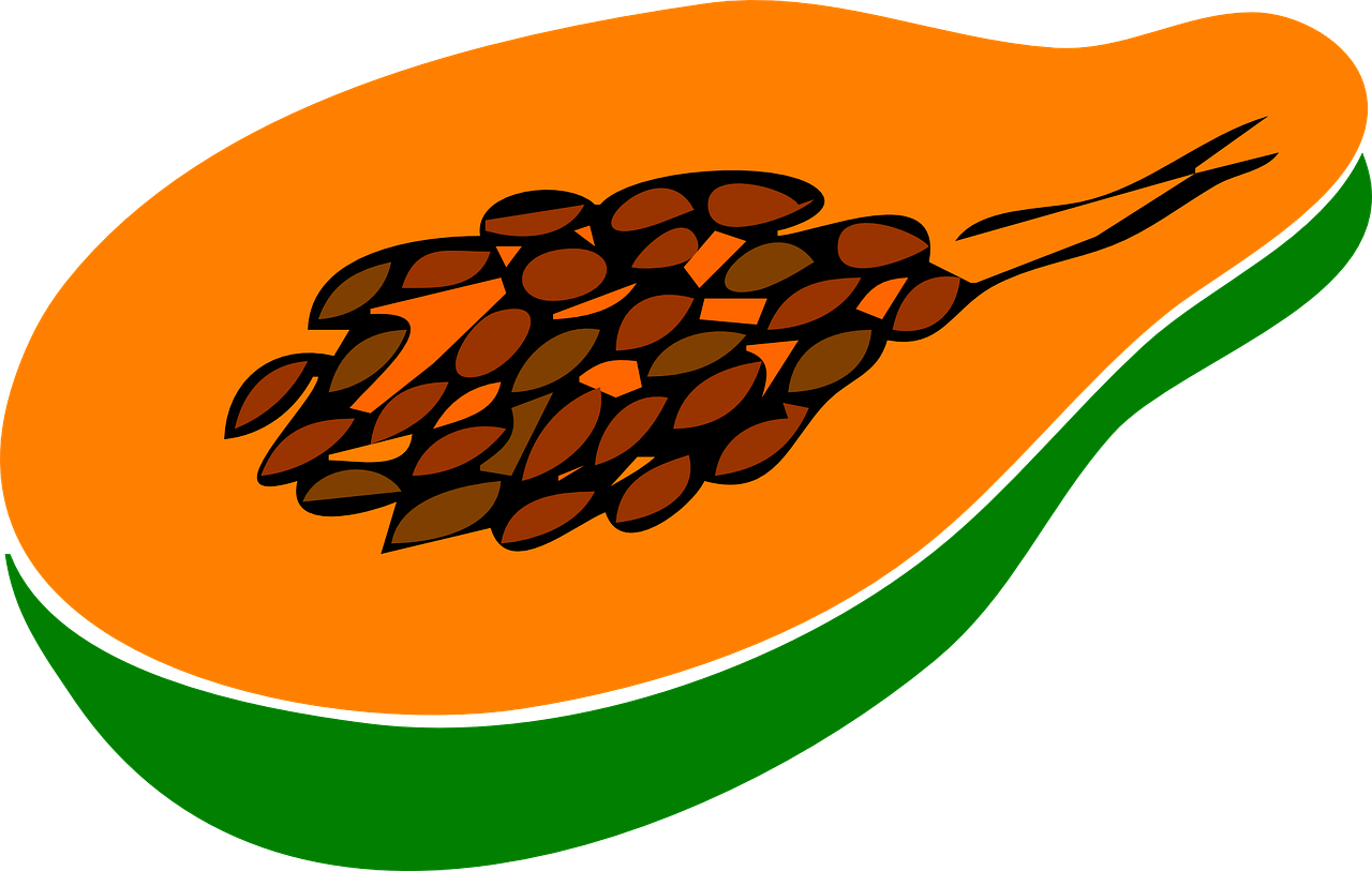 Sliced Papaya Illustration PNG Image